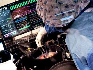 Scientists Unveil ‘Biological Data Center’ Powered by Lab-Grown Human Brain Cells