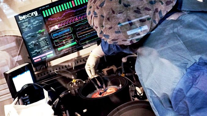 Scientists Unveil ‘Biological Data Center’ Powered by Lab-Grown Human Brain Cells