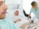 California ‘Assisted Suicide’ Deaths Skyrocket to Record High
