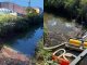 AI Data Center Dumps 5,000 Gallons of Diesel into New Jersey Wetlands