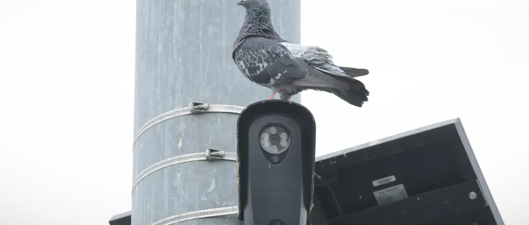Florida and Texas move to block Flock cameras over privacy concerns