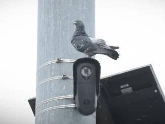Florida and Texas move to block Flock cameras over privacy concerns