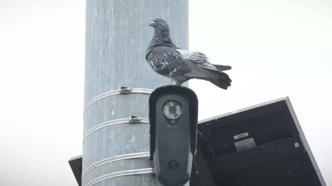 Florida and Texas move to block Flock cameras over privacy concerns