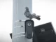 Florida and Texas move to block Flock cameras over privacy concerns