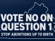Virginia Abortions Up to Birth Amendment Would Also Eliminate Parental Rights