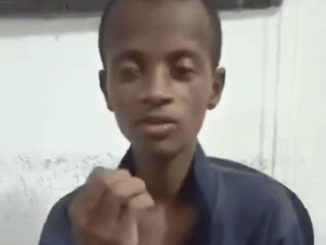 Bandit Confession Unpacks the Hands That Arm the Killing Camps