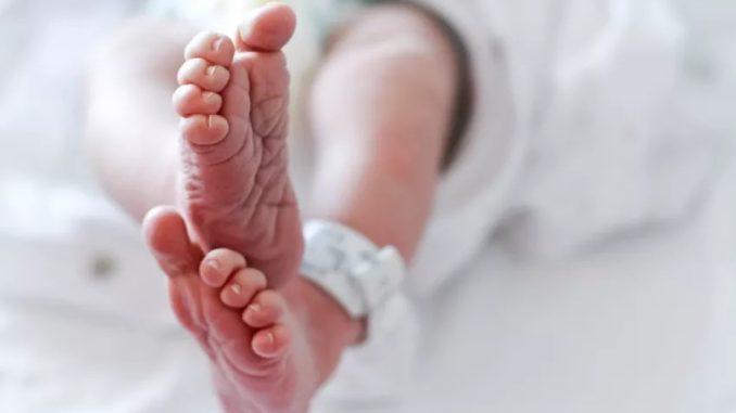 1-year-old euthanized under new rules in the Netherlands allowing termination for sick children