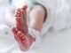 1-year-old euthanized under new rules in the Netherlands allowing termination for sick children