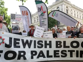 Progressive Jews embracing ‘craziest’ ideologies are ‘no longer our friends,’ Israeli scholar says