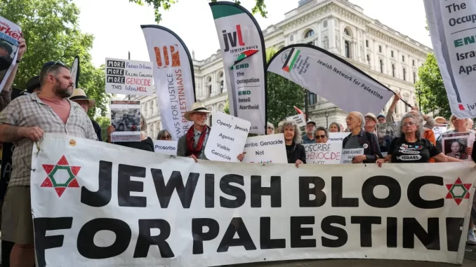 Progressive Jews embracing ‘craziest’ ideologies are ‘no longer our friends,’ Israeli scholar says