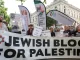 Progressive Jews embracing ‘craziest’ ideologies are ‘no longer our friends,’ Israeli scholar says