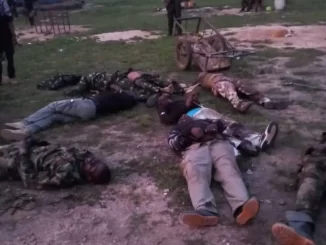 Terrorists Loyal to Zamfara Kingpin Kill 14 Security Personnel, Displace Thousands