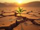 From dust to dirt: Australians to become compost after death